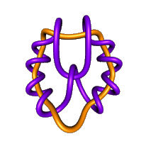 Knot from page 139 of Knots and Links